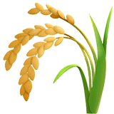 🌾